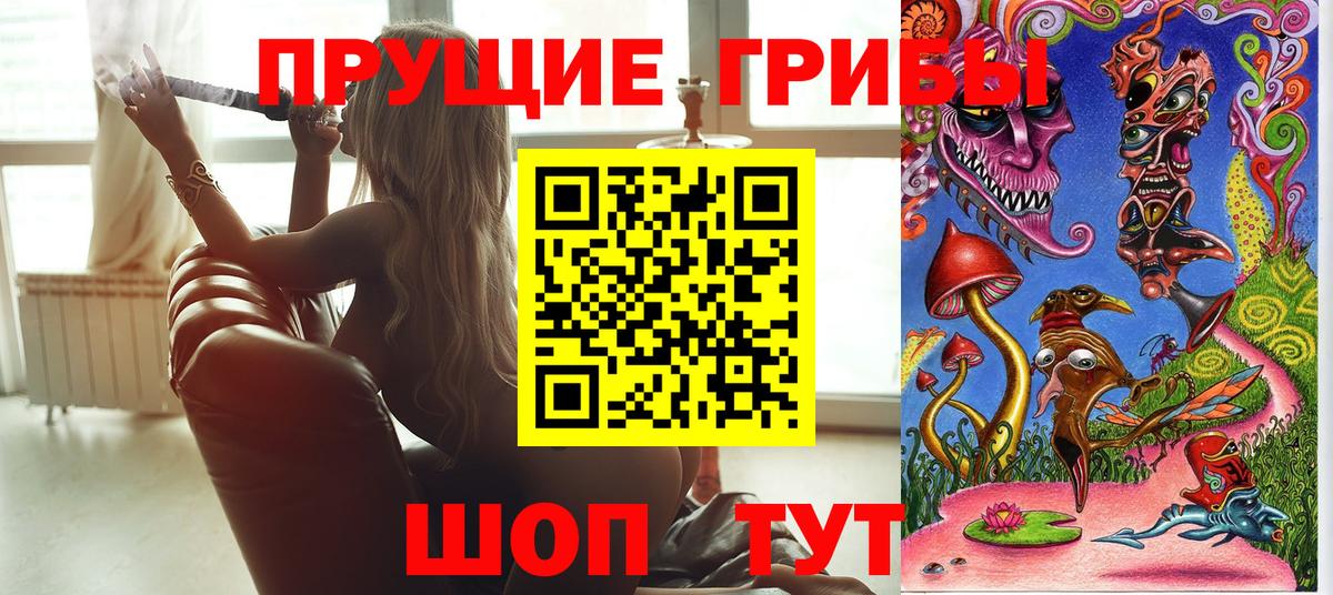 Белгород  Галлюциногенные грибы Cubensis  Вход с VPN 